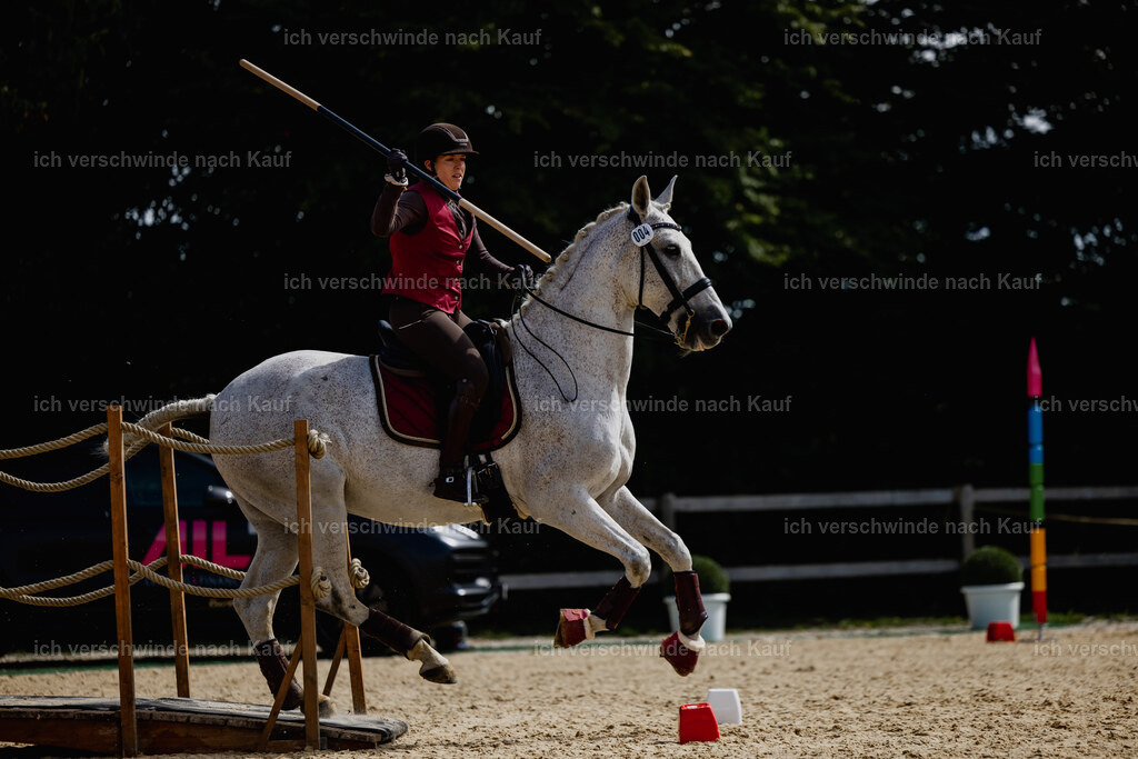 Kelly4_FHC2025-20292 | working equitationturnier fotograf videograf stoibphotography marixx film working equitation deutschland reitsport turnierfotografie eventfotografie equestrian events