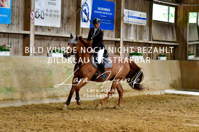 _DSC7474 | larahueckfotografie