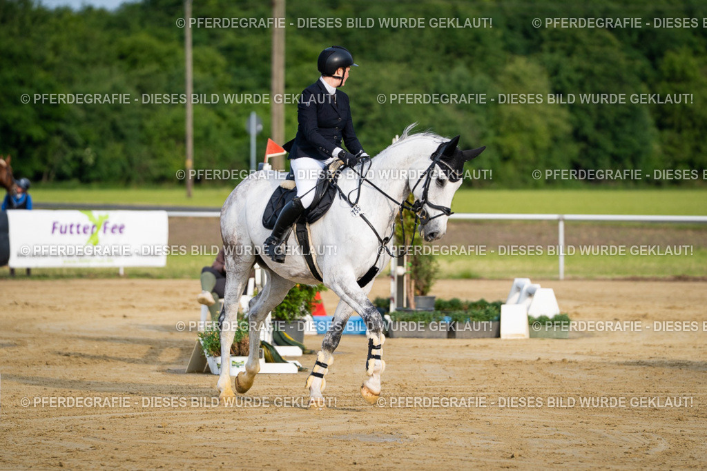 DSC02215 | Pferdegrafie