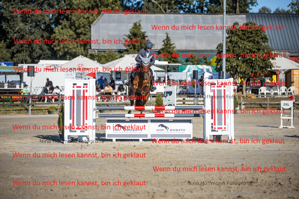 BK1A6164 | Turnierbilder Turnierfotos Nina Hüffmann Turnierfotografie Pferdefotografie Tierzeichnung Haustierzeichnung Pferdezeichnung Hundezeichnung Videograf  - Realisiert mit Pictrs.com