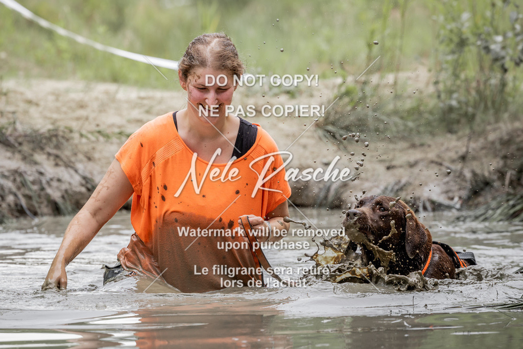 nelerasche_so1515-1530_218 | nelerasche