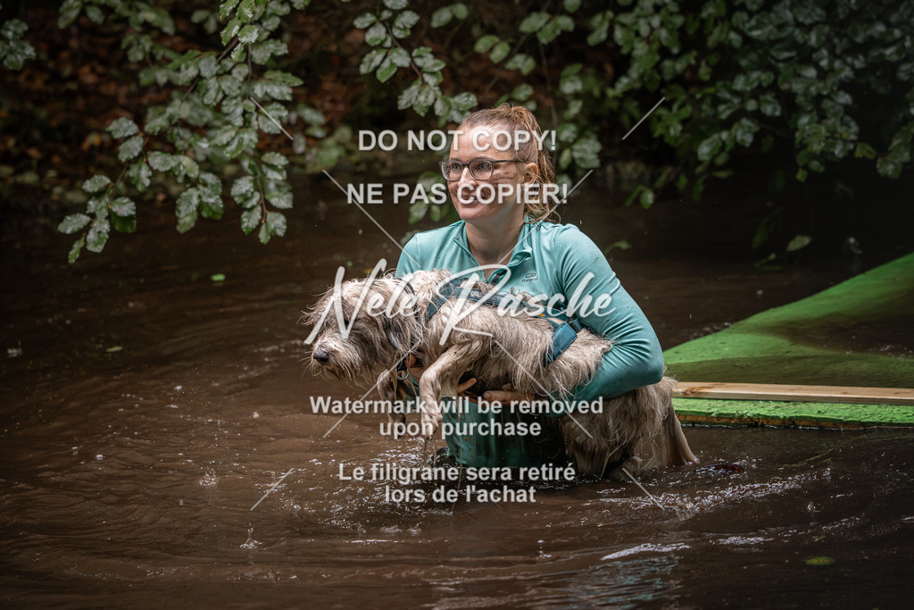 nelerasche_Wingst_Sa1330-1400_180 | nelerasche