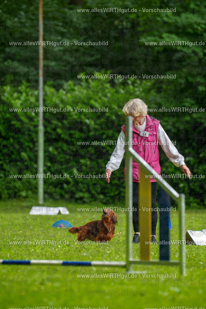 @allesWIRTHgut_Tierfotografie - www.allesWIRTHgut.de - 090718-7R506523 | Professionelle Tierfotografie in Mönchengladbach von Daniel Wirth (allesWIRTHgut). Liebevolle & natürliche Bilder von Hunden & Katzen für unvergessliche Erinnerungen.