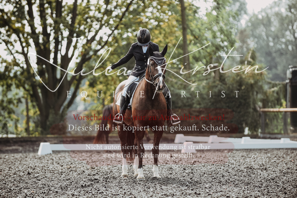 DSC_3618 | Pferde- und Turnierfotografie in Westsachsen. Pferdeportraits, Auftragszeichnungen und intuitive Kunst.