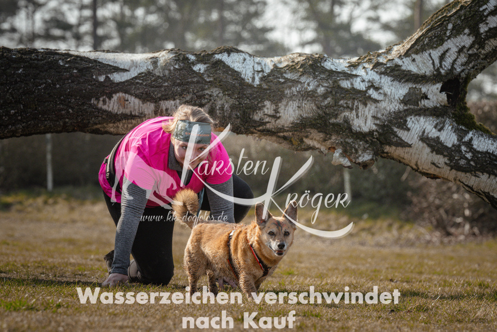 1031_ZZ92796 | kk-dogfotos