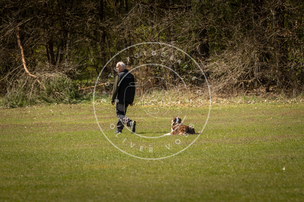 Pfotenfotografie_DV3A1349 | Hundefotografie, Tierfotograf, Pfotenfotografie, Fotoshooting Hund, Hunde Portrait, Hundesport, Hundeportraits, Heideshooting, Hunde, Sportfotograf, Hundefotograf, Turnierhundsport, THS,  - Realisiert mit Pictrs.com
