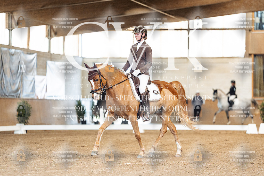CK900758 | Turnierfotografie Pferdefotografie Trier Rheinland-Pfalz Pferdesport Reitsport Tierfotografie Sportfotografie Pferdevideo Pferdevideografie Equestrianvideography equestrianphotography  - Realisiert mit Pictrs.com