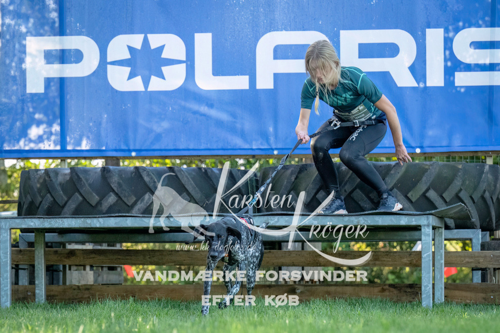 1014--7 | kk-dogfotos