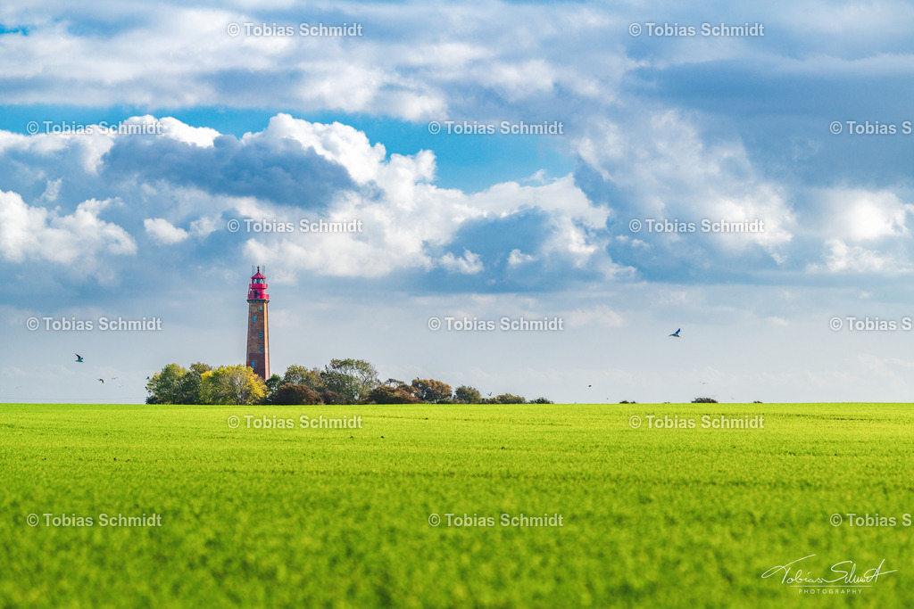 Fehmarn__DSC7640 | Fotoprodukte, Kalender und Wanddeko direkt vom Fotografen auf Fehmarn. Ob Wandbild auf Alu-Dibond, hinter Acrylglas oder auf Leinwand – hier können Sie Ihr Lieblingsbild kaufen. - Realisiert mit Pictrs.com