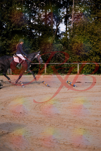 2026_10_03_Siefer-Hof_144829_Z81_25784655 | Professionelle Reitsport-, Turnier- und Eventfotografie von Robert Broda. Galerien mit ausgewählten und bearbeiteten Bildern direkt online ansehen und bestellen.