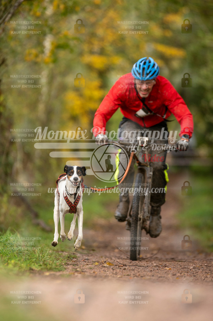 TSB_2023_E4_Bike-42 | PayLife
