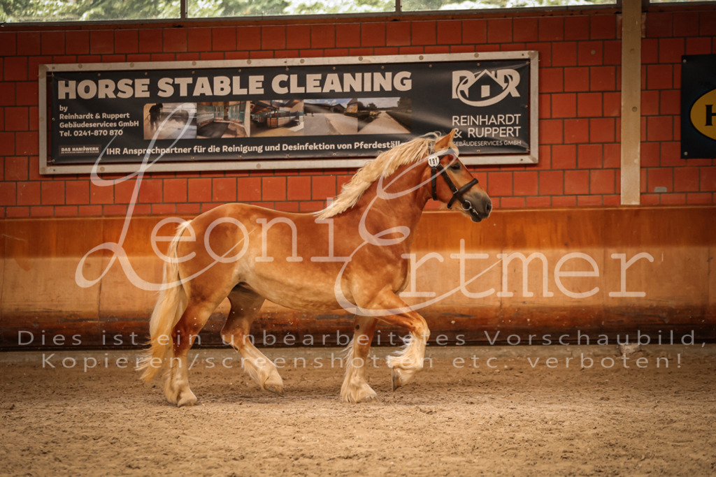 SaFL00252 | Leoni Ertmer Photography - Realisiert mit Pictrs.com