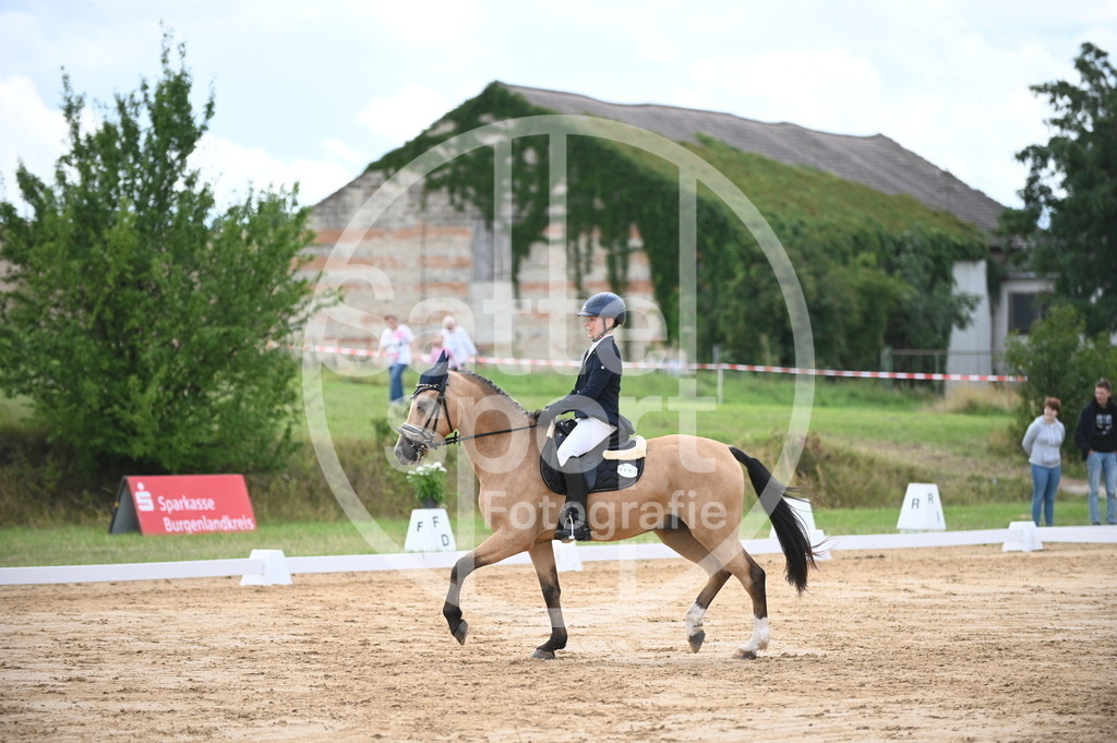 DSC_6284 | sattelsport - Realisiert mit Pictrs.com