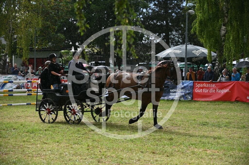 DSC_8923 | sattelsport - Realisiert mit Pictrs.com