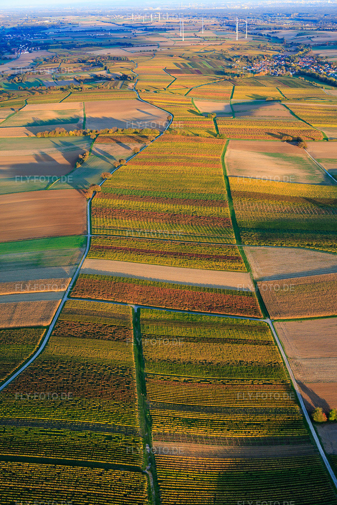 Luftbild: herbstlich gerfärbte Weinberge zwischen Dierbach und Oberhausen in Oberhausen im Bundesland Rheinland-Pfalz in Deutschland. Foto: IMG_150390.jpg vom 15.10.2025 durch Werner Riehm/FLY-FOTO.de