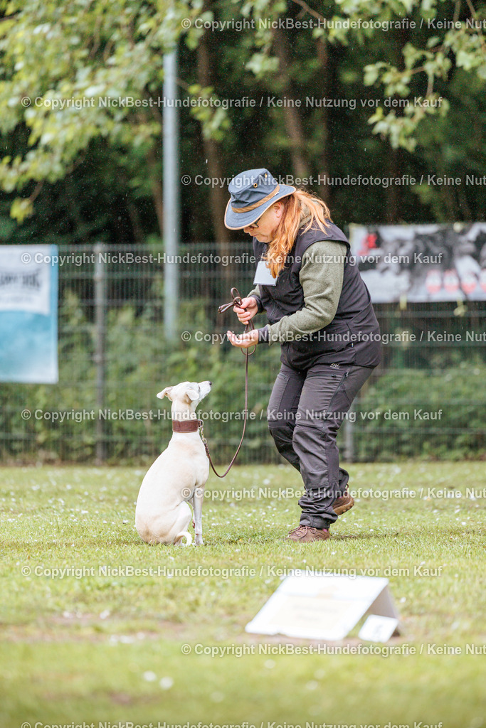 RO-Blumenthal-2026-Nickbest-Hundefotografie-0151 | Dein Hund! Dein Moment! Deine Erinnerungen! Hundefotografie in Bremen Blumenthal. Ich fange die besonderen Momente deines Vierbeiners ein – ob Indoor mit Blitzanlage oder in der freien Natur. Sicher dir dein Moment und dein Termin für eure Erinnerungen.
