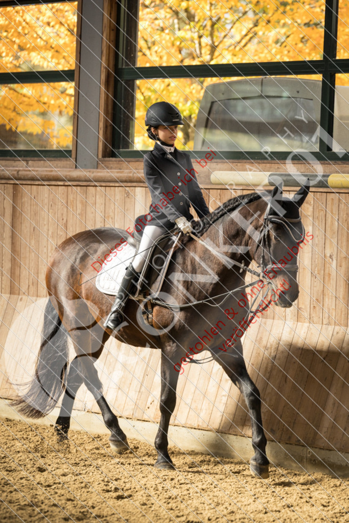 CON_6187 | Sport-, Event- und Tierfotos in Profiqualität. Einfach auswählen, bestellen und herunterladen. Dein Moment – perfekt festgehalten.