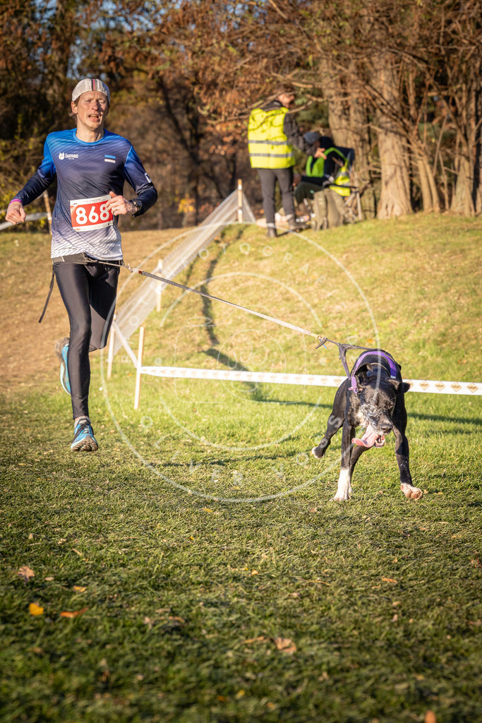CaniXpix_0L8A1038 | Hundefotografie, Tierfotograf, Pfotenfotografie, Fotoshooting Hund, Hunde Portrait, Hundesport, Hundeportraits, Heideshooting, Hunde, Sportfotograf, Hundefotograf, Turnierhundsport, THS,  - Realisiert mit Pictrs.com