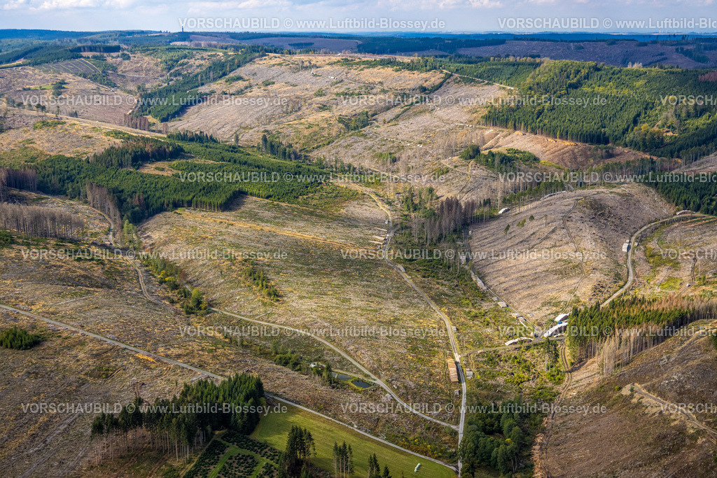 Bestwig220901990 | Luftbild, Waldschäden, Waldsterben, Nuttlar, Bestwig, Ruhrgebiet, Nordrhein-Westfalen, Deutschland