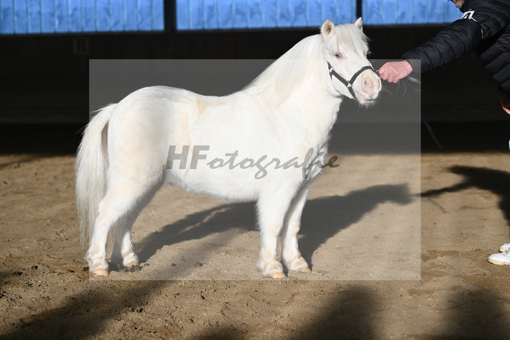 Kat-Nr. 14 Elmhorst Irish Cream v. Elmhorst Irish Coffee_Elmer_49250608 | hf-fotografie - Realisiert mit Pictrs.com