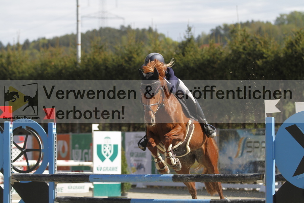 _MG_4936 | equestrian-live-com