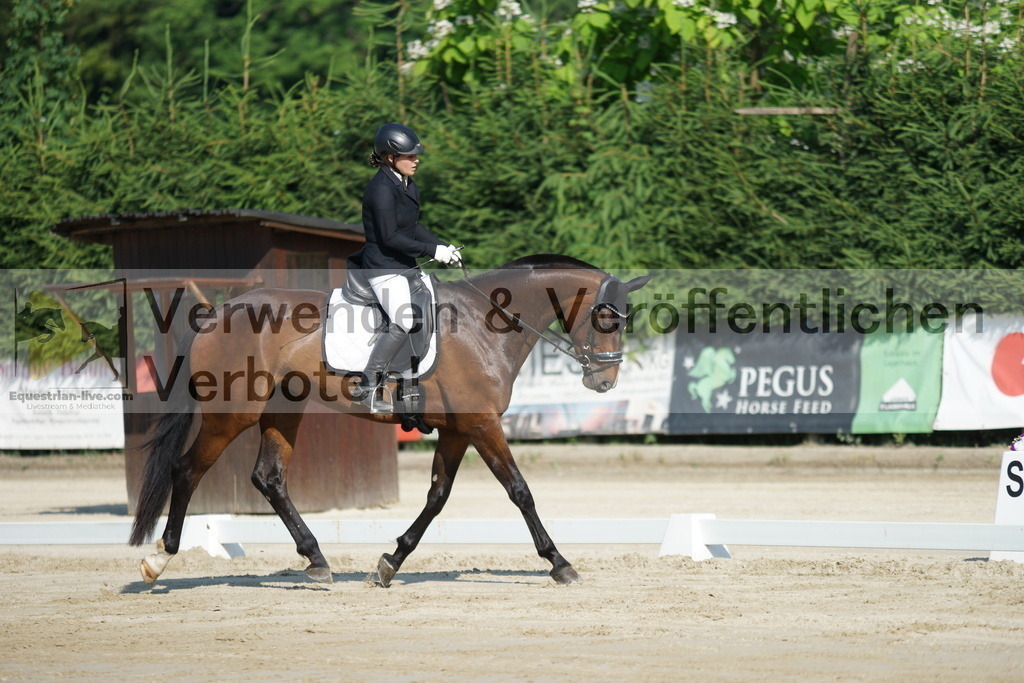DSC01302 | equestrian-live-com