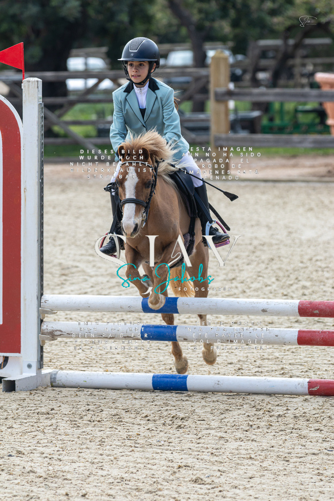 IMG_4688 | s-jay-photography - Realisiert mit Pictrs.com