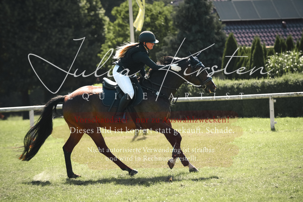 DSC_9407 | Pferde- und Turnierfotografie in Westsachsen. Pferdeportraits, Auftragszeichnungen und intuitive Kunst.