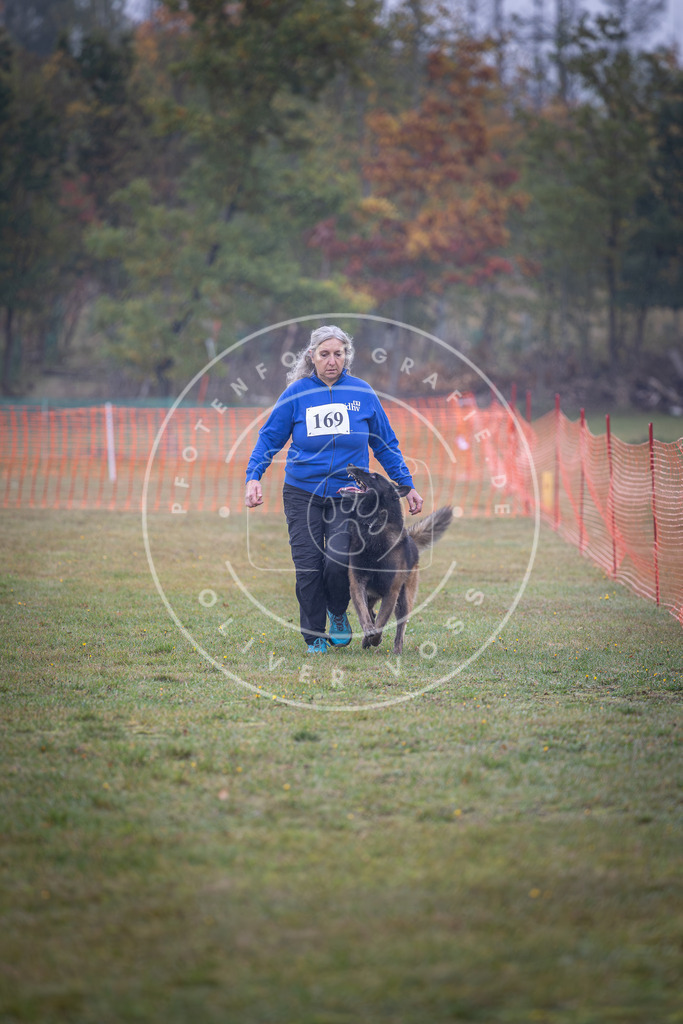 Pfotenfotografie_DV3A9060 | Hundefotografie, Tierfotograf, Pfotenfotografie, Fotoshooting Hund, Hunde Portrait, Hundesport, Hundeportraits, Heideshooting, Hunde, Sportfotograf, Hundefotograf, Turnierhundsport, THS,  - Realisiert mit Pictrs.com