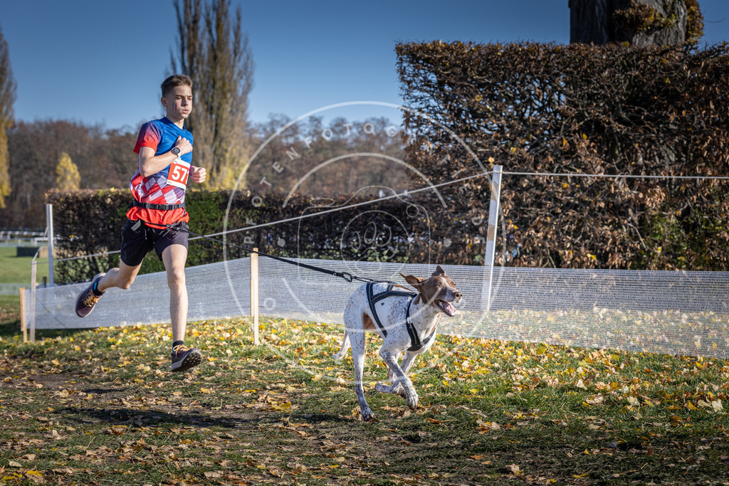 CaniXpix_DV3A8916 | Hundefotografie, Tierfotograf, Pfotenfotografie, Fotoshooting Hund, Hunde Portrait, Hundesport, Hundeportraits, Heideshooting, Hunde, Sportfotograf, Hundefotograf, Turnierhundsport, THS,  - Realisiert mit Pictrs.com