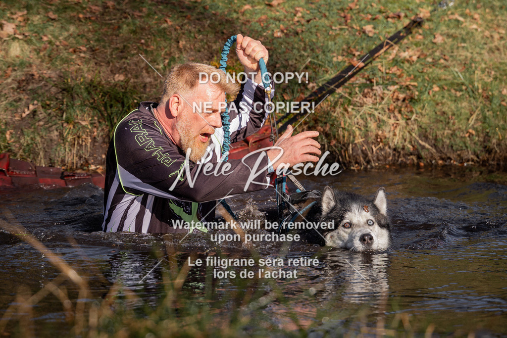 nelerasche_FS0900-1000_151 | nelerasche