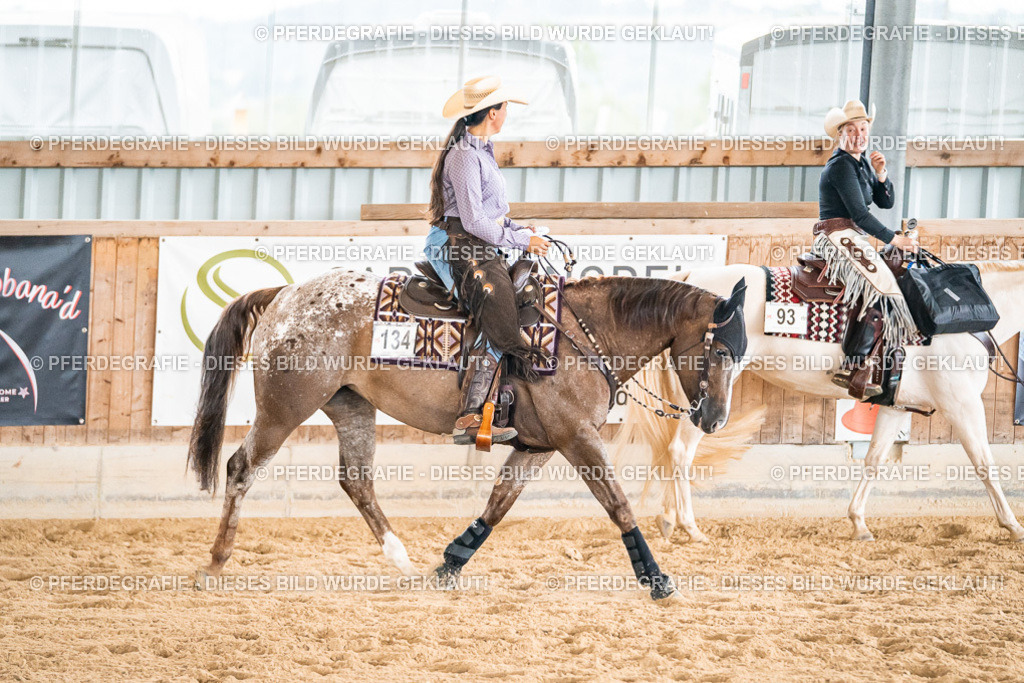 DSC00883 | Pferdegrafie