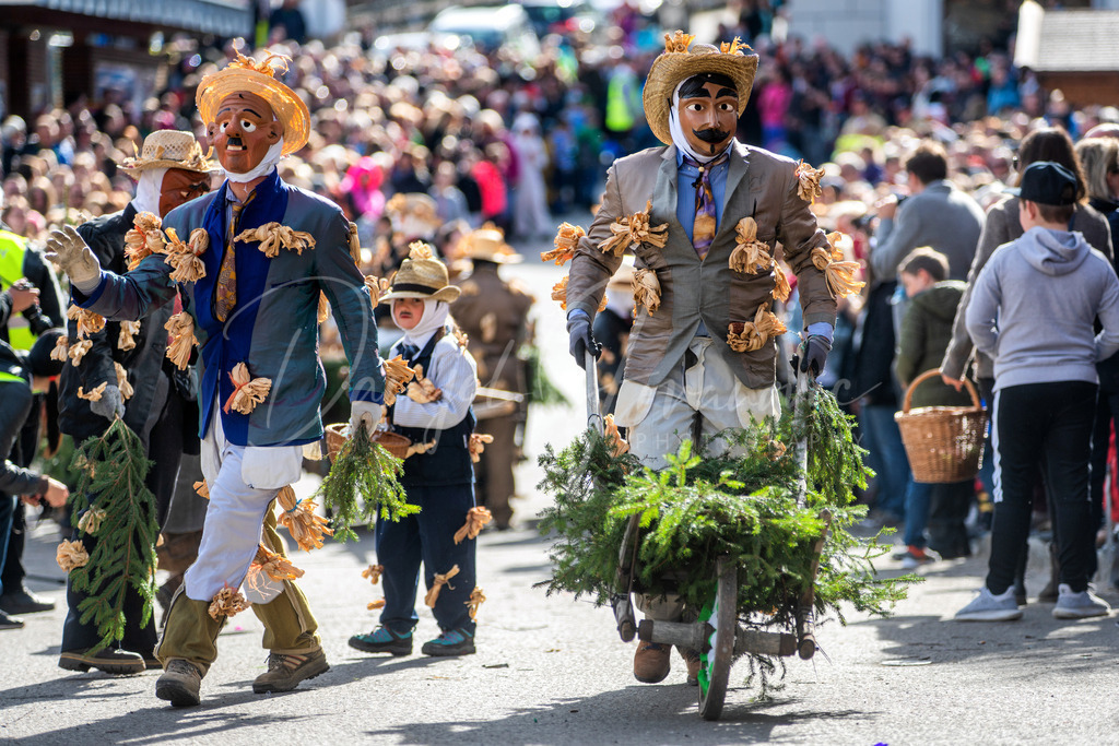 DSC08539 | Professioneller Fotograf - Bildbestellung online - Wandbilder vom Profi für ihr Zuhause, Büro, Praxis, Firma - große Auswahl an Materialien und Formaten, über 1400 regionale Motive