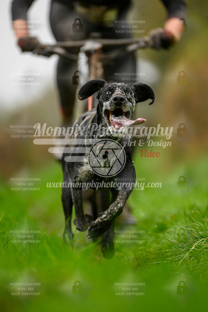 MompixPhotography_20TSB_E8_Bike-36 | PayLife