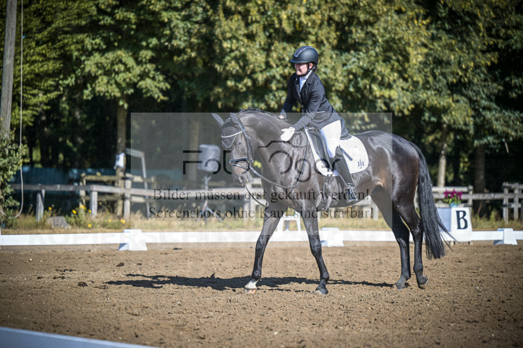 DOS_1705 | Entdecke hochwertige Reitturnierfotos von Foto Oger. Professionell, emotional und authentisch – jetzt Lieblingsmomente im Shop bestellen.Deutschlandweite Turnierfotografie. - Realisiert mit Pictrs.com