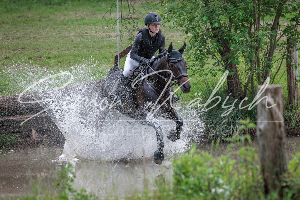 20260523-_3LI9622 | Tierfotografie Pferde, Hunde, Katzen, Haustiere.
Turnierfotografie Reitturniere, Reiten, Springreiten, Dressur in Hanau, dem Main-Kinzig-Kreis und dem Rhein-Main- Gebiet um Frankfurt