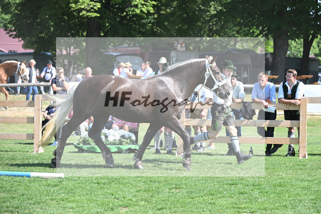 Kat-Nr. 15 Mirabell_Mayr_20230236 | hf-fotografie - Realisiert mit Pictrs.com