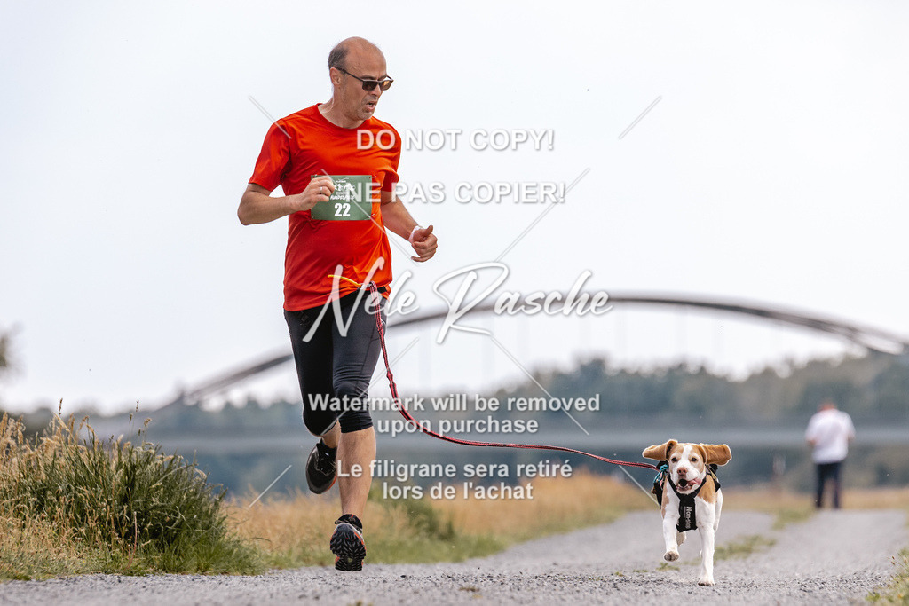 BUHU_CC_201 | nelerasche