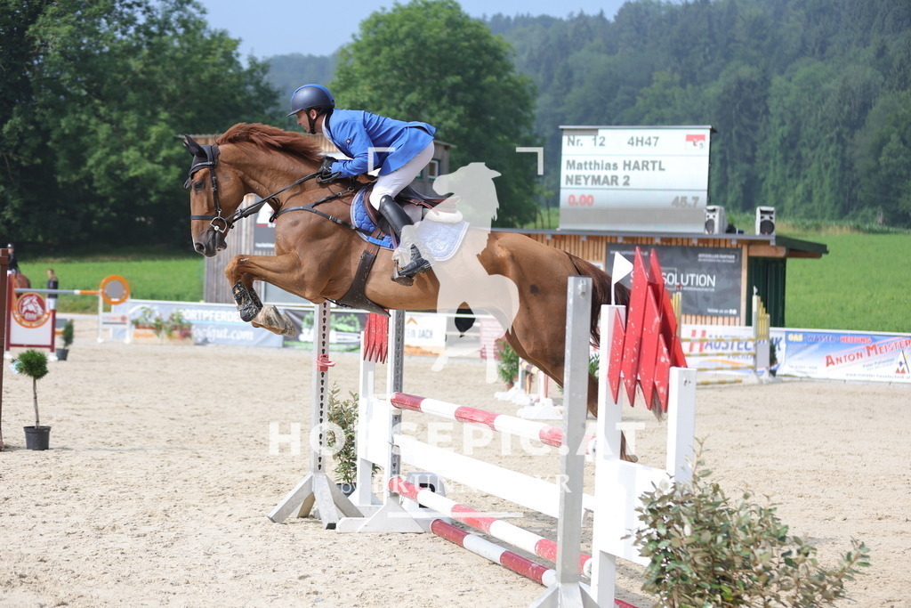 0P6A8116 | Willkommen bei Brunnmayr - Design & Fotografie – Ihrem Spezialisten für Reitturniere und Pferdeveranstaltungen in Oberösterreich, Salzburg und Bayern! Seit über 17 Jahren sind wir leidenschaftlich dabei.