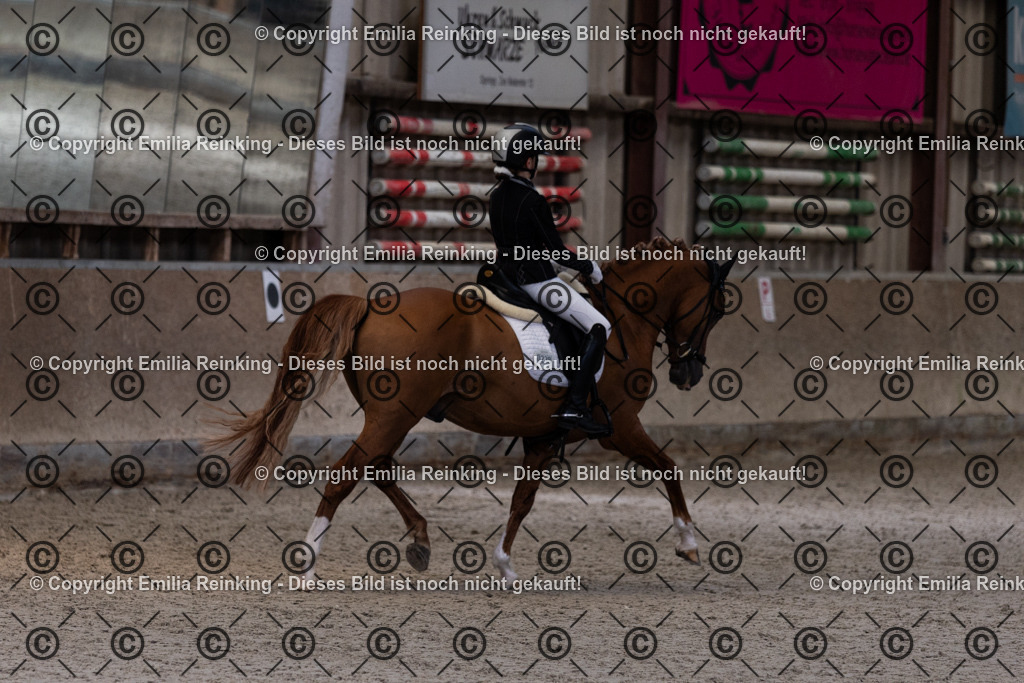 CL5A4010 | Emilia Reinking Fotografie - Realisiert mit Pictrs.com