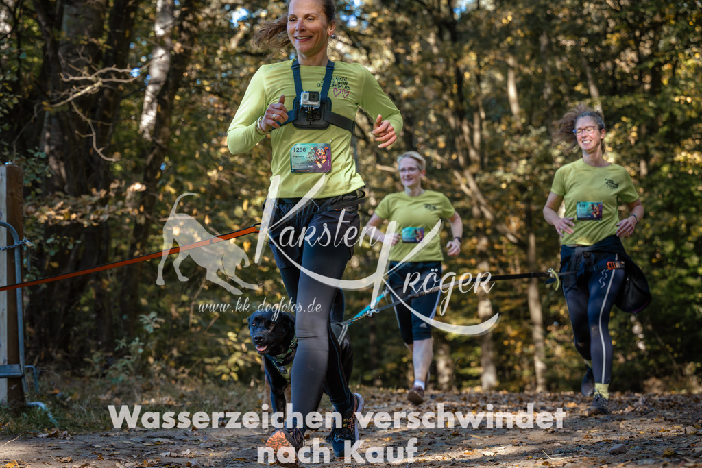 1121_ZZ92096 | kk-dogfotos