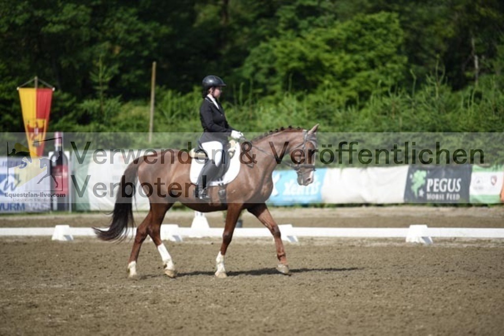 DSC_9694 | equestrian-live-com