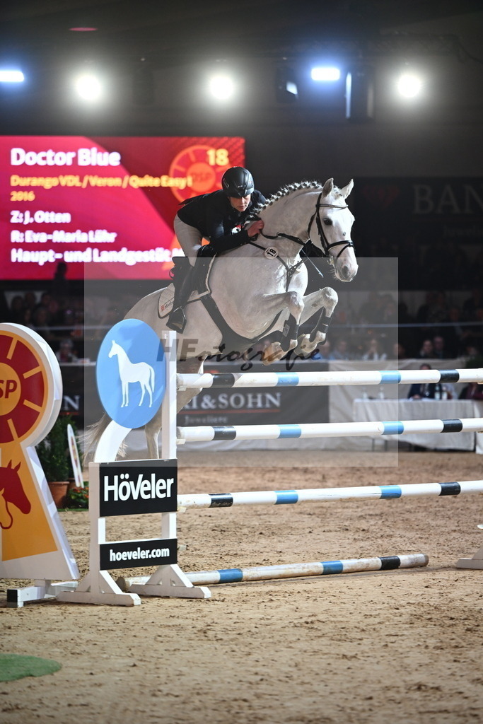 Doctor Blue_2241978 | hf-fotografie - Realisiert mit Pictrs.com