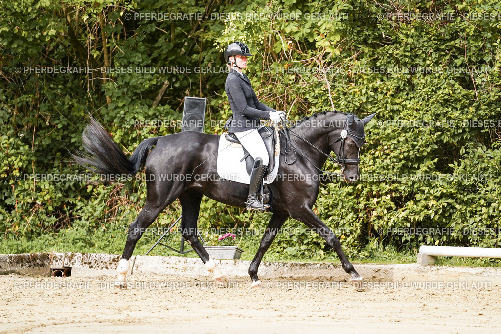 DSC03423 | Pferdegrafie