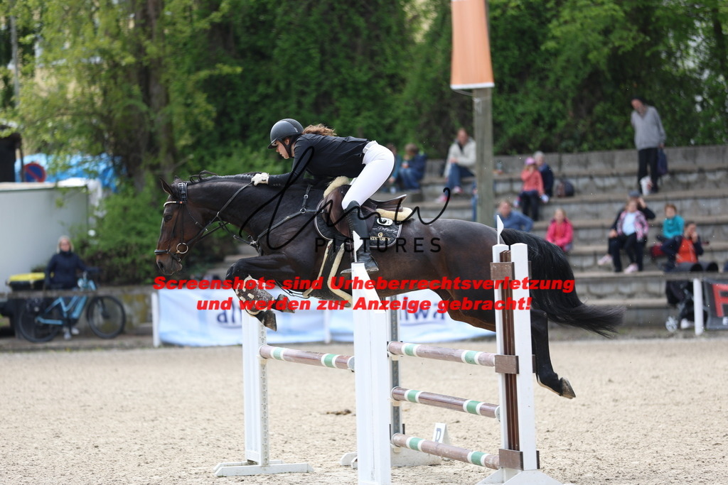 A40A2431 | lmwpictures - Realisiert mit Pictrs.com