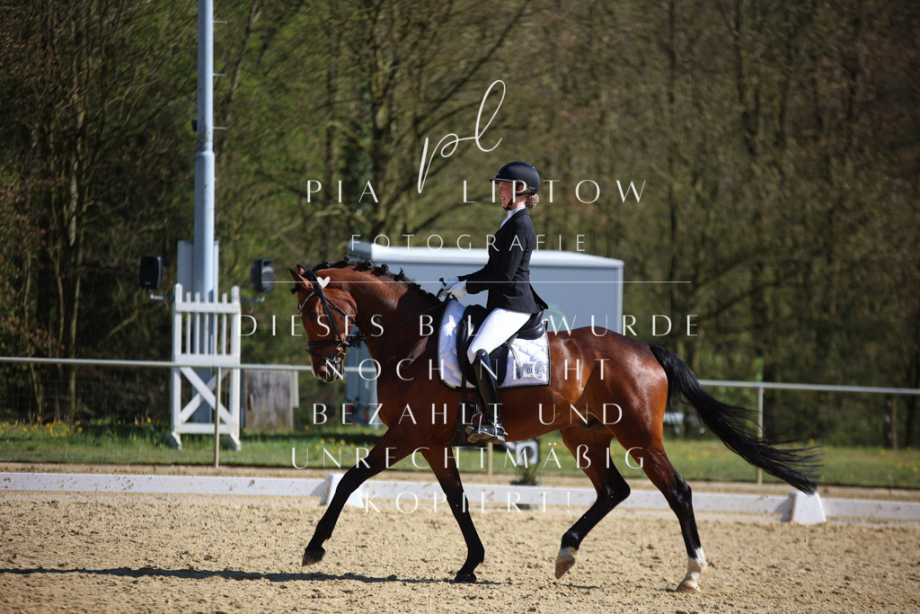 IMGT8891 | pl-fotografie