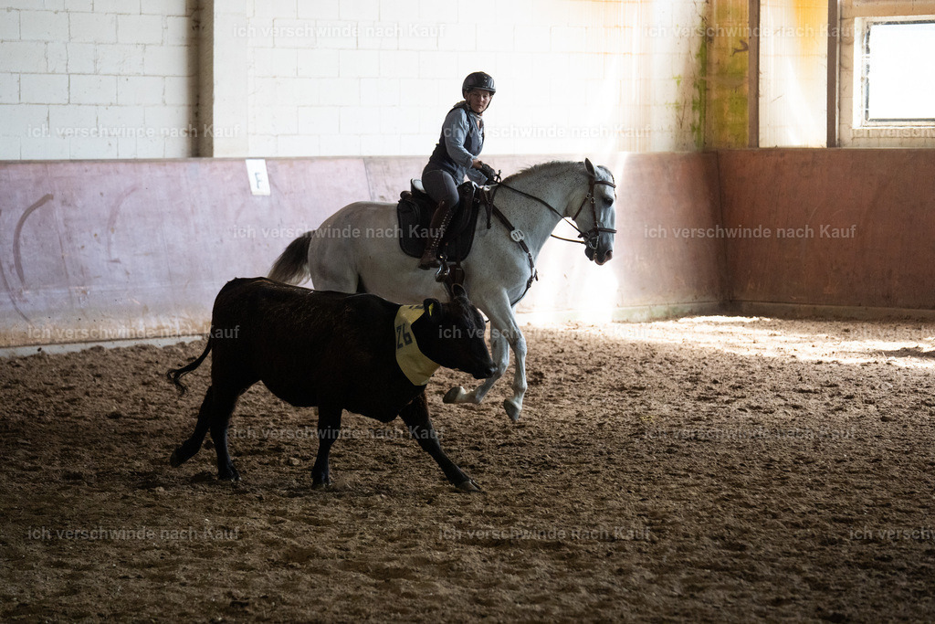WL_COW_70_SinaFilmArt_IN04013 | working equitationturnier fotograf videograf stoibphotography marixx film working equitation deutschland reitsport turnierfotografie eventfotografie equestrian events