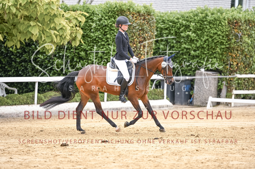 Schugtsche-Aluta25-42.EDressur -285 | Schugtsche Fotografie - Realisiert mit Pictrs.com