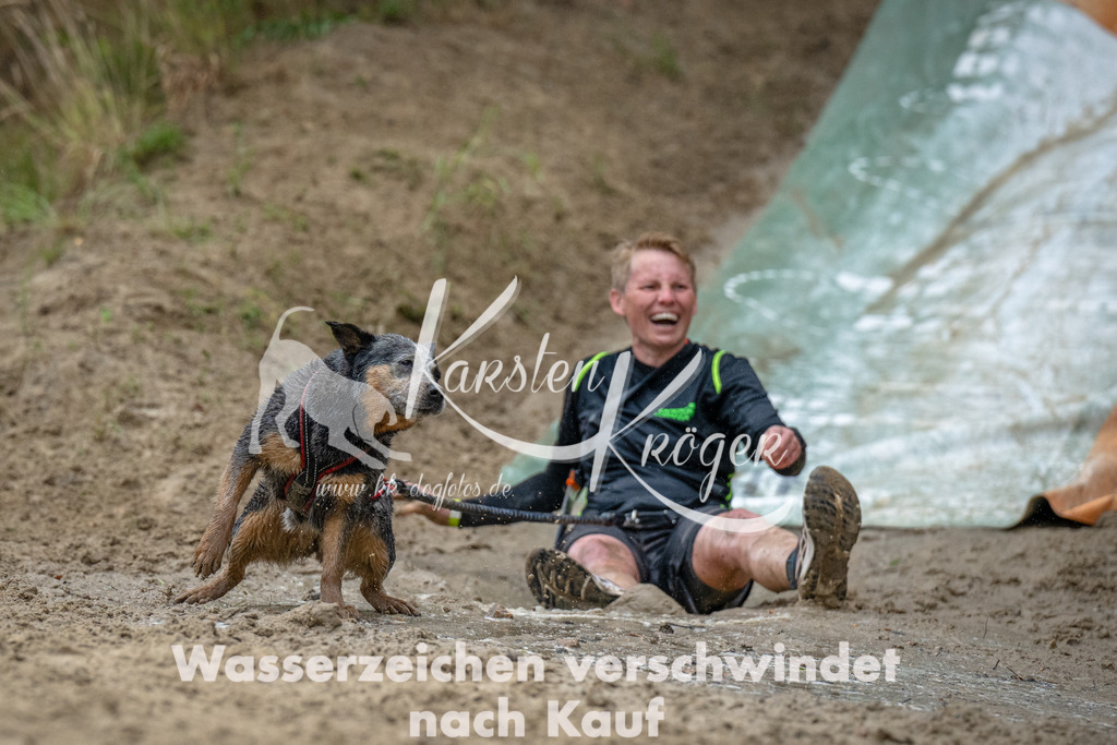 1235_ZZ93495-Bearbeitet | kk-dogfotos