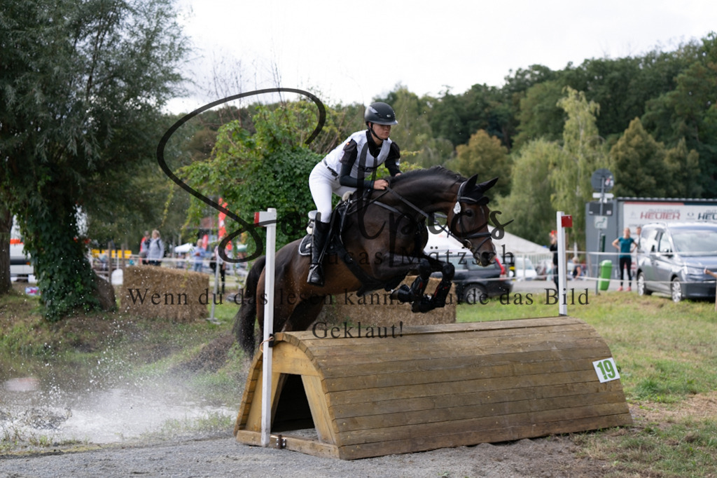 A7V01040 | Pferdefotograf